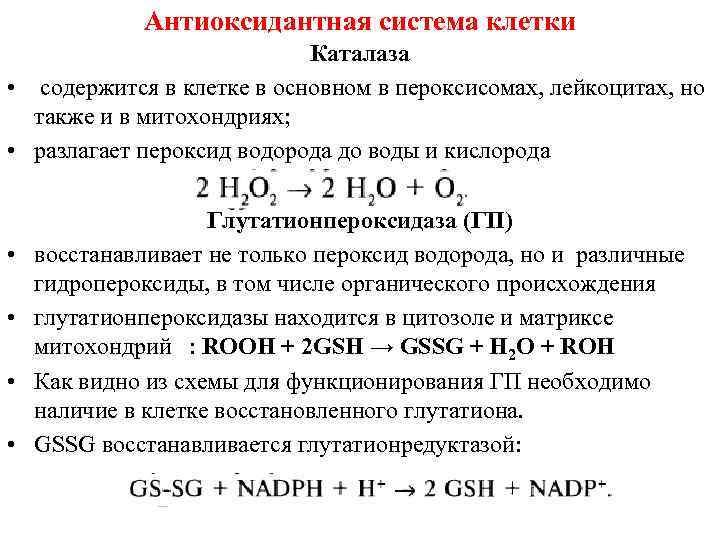 Антиоксидантная система клетки Каталаза • содержится в клетке в основном в пероксисомах, лейкоцитах, но