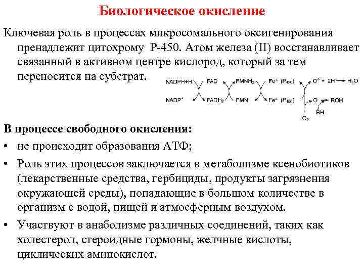 Биологическое окисление Ключевая роль в процессах микросомального оксигенирования пренадлежит цитохрому Р-450. Атом железа (II)