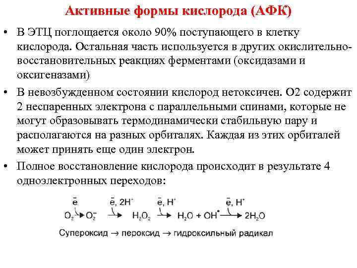 Активные формы кислорода (АФК) • В ЭТЦ поглощается около 90% поступающего в клетку кислорода.