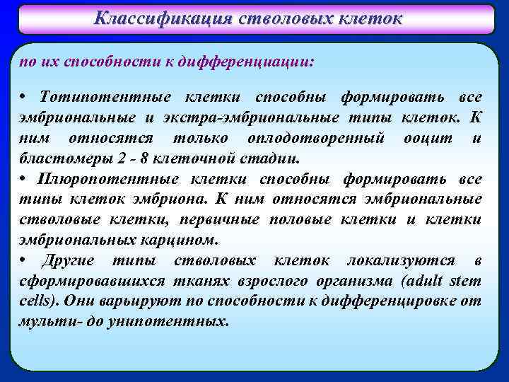 Классификация стволовых клеток по их способности к дифференциации: • Тотипотентные клетки способны формировать все