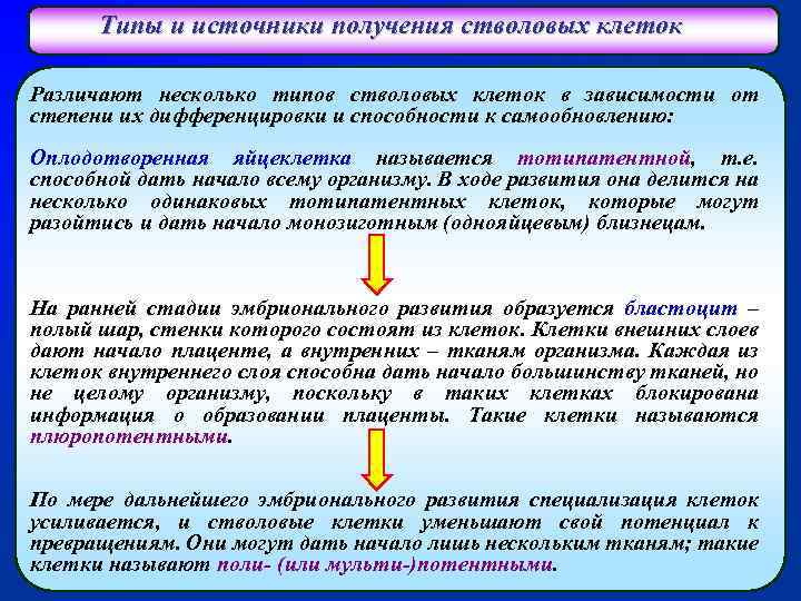 Типы и источники получения стволовых клеток Различают несколько типов стволовых клеток в зависимости от