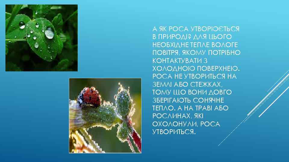 А ЯК РОСА УТВОРЮЄТЬСЯ В ПРИРОДІ? ДЛЯ ЦЬОГО НЕОБХІДНЕ ТЕПЛЕ ВОЛОГЕ ПОВІТРЯ, ЯКОМУ ПОТРІБНО