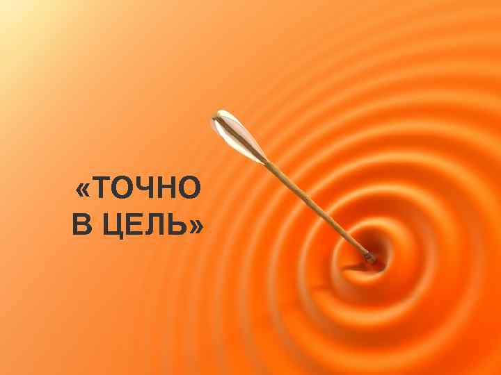  «ТОЧНО В ЦЕЛЬ» 