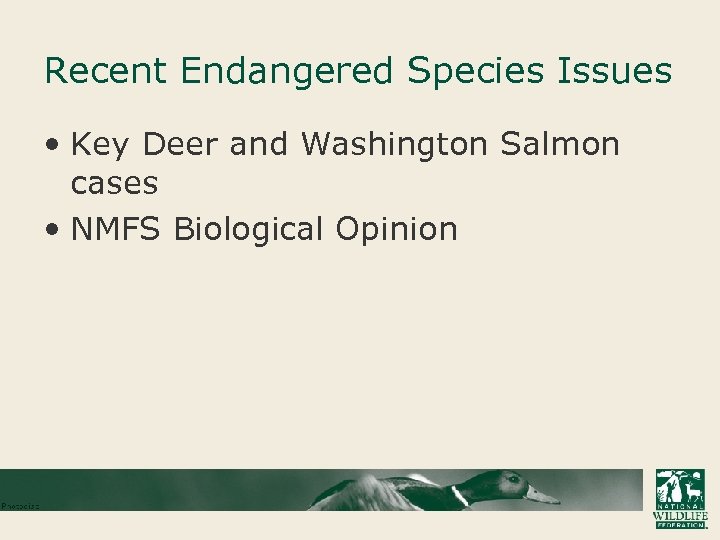 Recent Endangered Species Issues • Key Deer and Washington Salmon cases • NMFS Biological