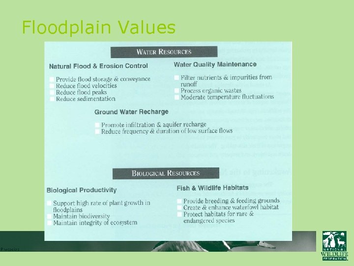 Floodplain Values 