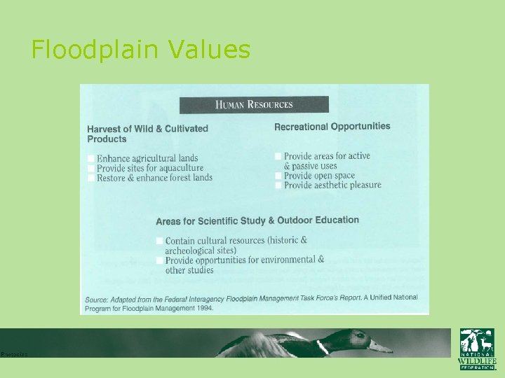 Floodplain Values 
