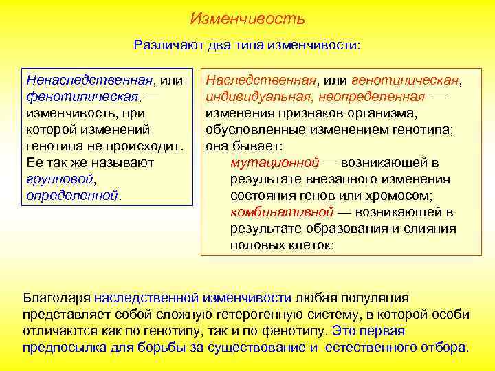 Изменчивость Различают два типа изменчивости: Ненаследственная, или фенотипическая, — изменчивость, при которой изменений генотипа