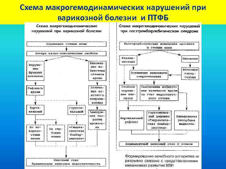 Схема макрогемодинамических нарушений при варикозной болезни и ПТФБ 