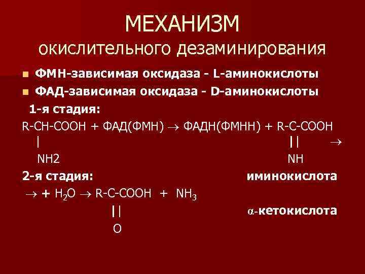 Аминокислоты поурочный план