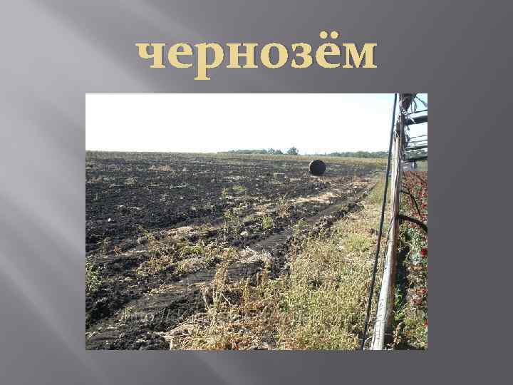чернозём 