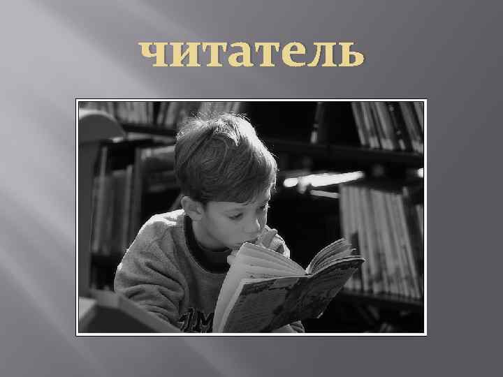 читатель 