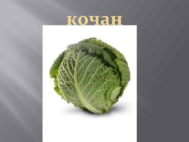кочан 
