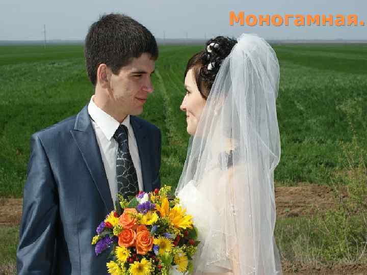 Моногамная. 