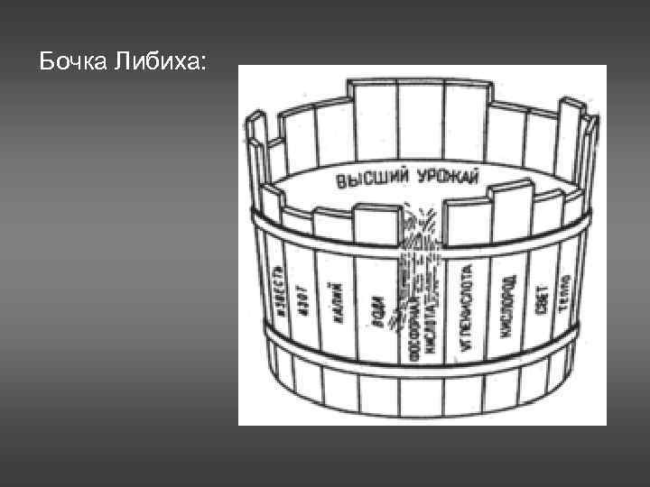 На рисунке изображена бочка либиха иллюстрирующая зависимость урожая от лимитирующего фактора