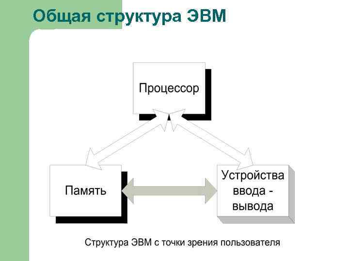 Общая структура ЭВМ 