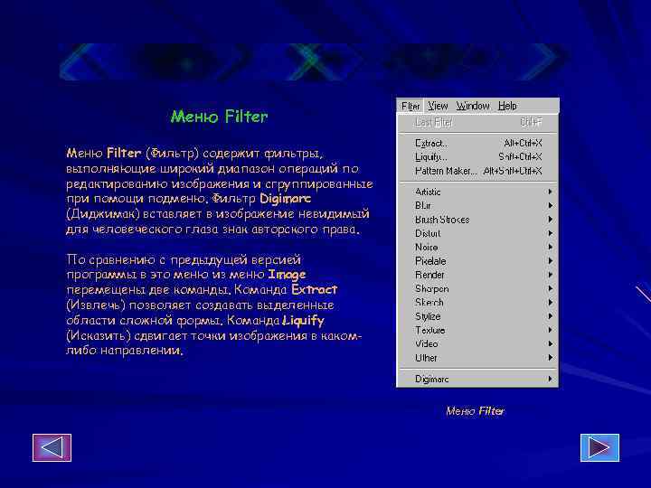 Меню Filter (Фильтр) содержит фильтры, выполняющие широкий диапазон операций по редактированию изображения и сгруппированные