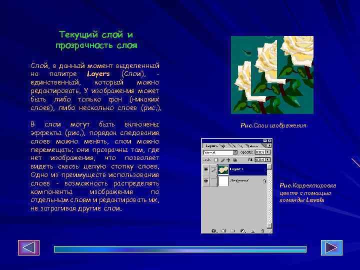 Текущий слой и прозрачность слоя Слой, в данный момент выделенный на палитре Layers (Слои),