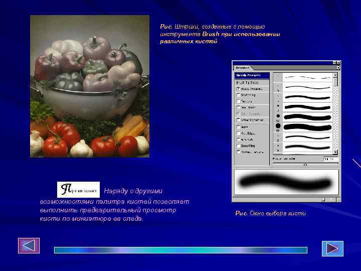 Рис. Штрихи, созданные с помощью инструмента Brush при использовании различных кистей Наряду с другими