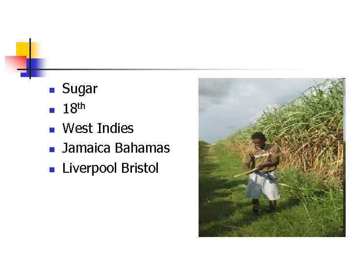 n n n Sugar 18 th West Indies Jamaica Bahamas Liverpool Bristol 