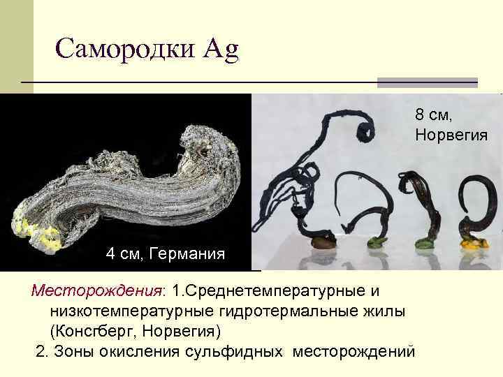 Самородки Ag 8 см, Норвегия 4 см, Германия Месторождения: 1. Среднетемпературные и низкотемпературные гидротермальные