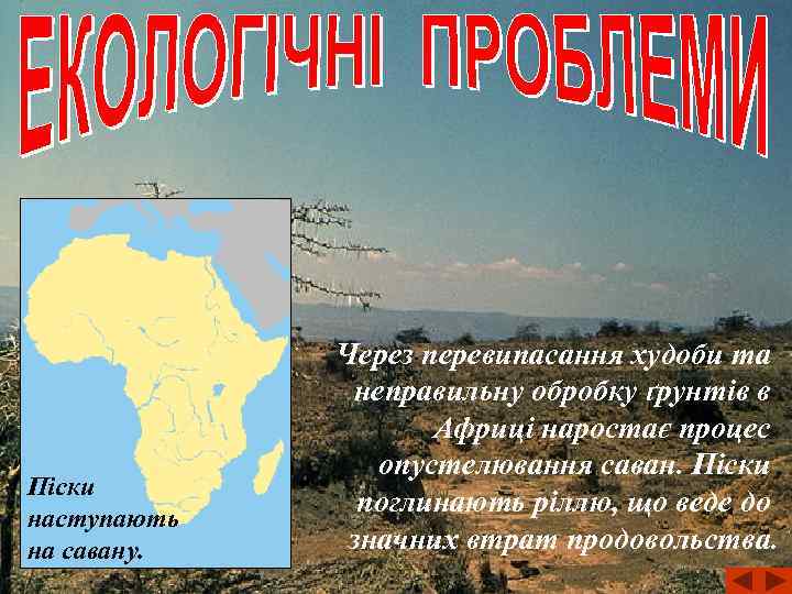 Піски наступають на савану. Через перевипасання худоби та неправильну обробку ґрунтів в Африці наростає