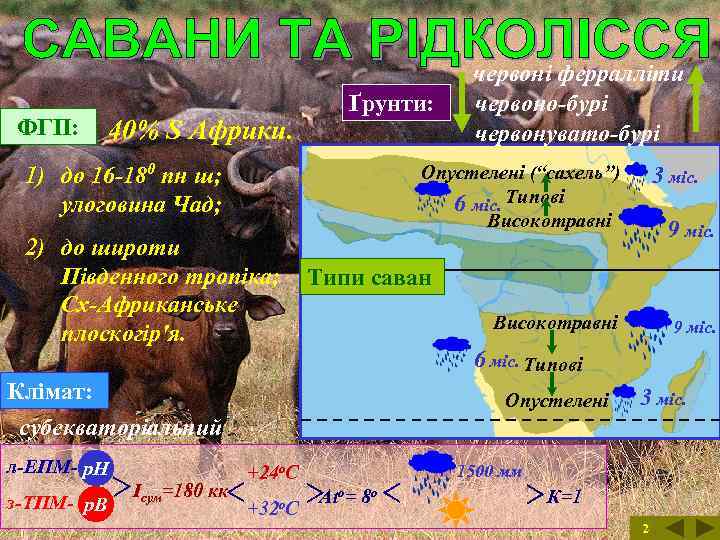 ФГП: Ґрунти: 40% S Африки. 1) до 16 -180 пн ш; улоговина Чад; Опустелені