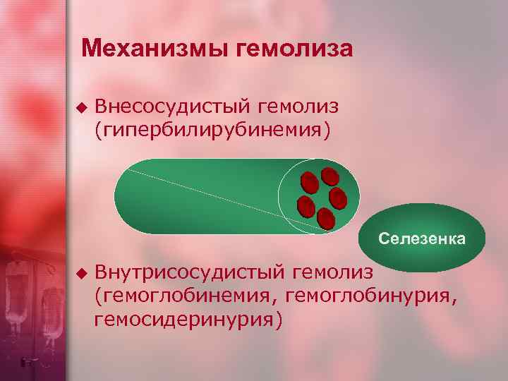 Механизмы гемолиза u Внесосудистый гемолиз (гипербилирубинемия) Селезенка u Внутрисосудистый гемолиз (гемоглобинемия, гемоглобинурия, гемосидеринурия) 