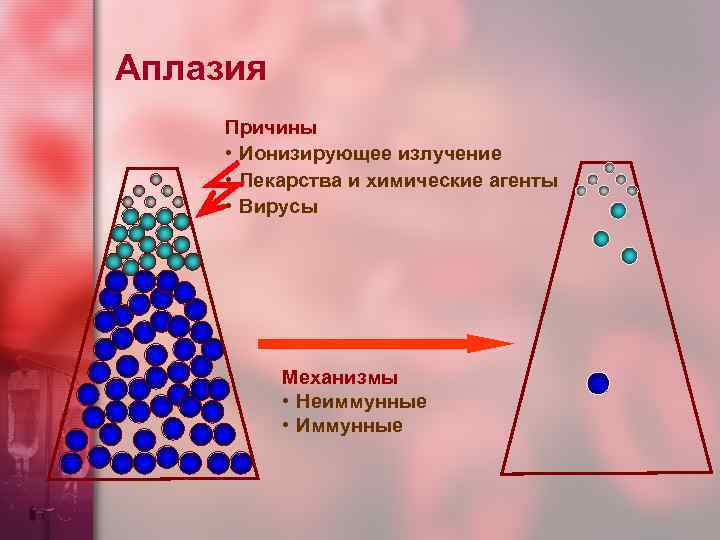 Аплазия Причины • Ионизирующее излучение • Лекарства и химические агенты • Вирусы Механизмы •
