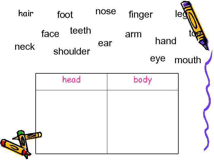 hair foot face neck nose teeth shoulder head ear finger arm leg hand toe