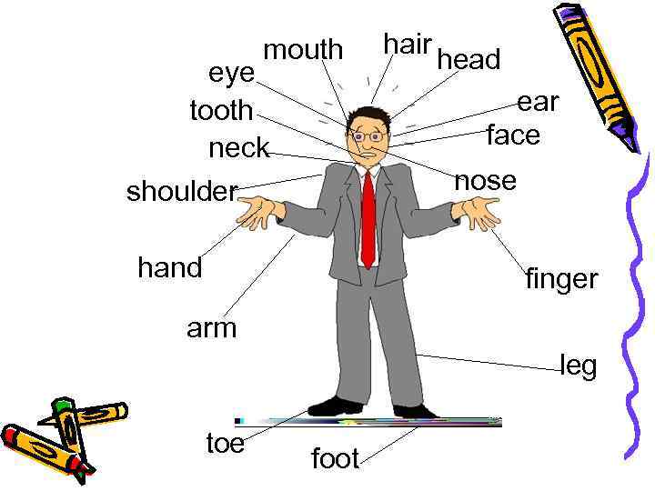mouth eye tooth neck shoulder hair head ear face nose hand finger arm leg