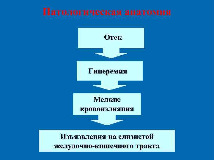 Патологическая анатомия Отек Гиперемия Мелкие кровоизлияния Изъязвления на слизистой желудочно-кишечного тракта 