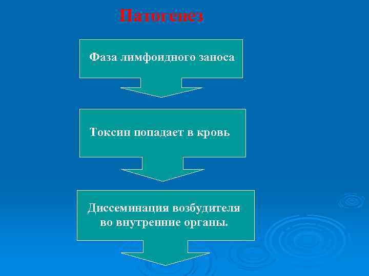 Патогенез Фаза лимфоидного заноса Токсин попадает в кровь Диссеминация возбудителя во внутренние органы. 