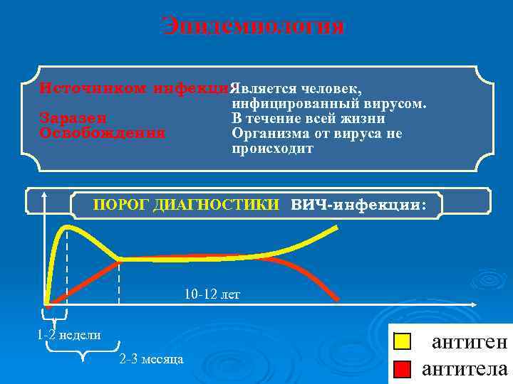 Эпидемиология Источником инфекции Является человек, инфицированный вирусом. Заразен В течение всей жизни Освобождения Организма