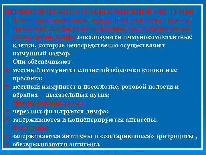 ПЕРИФЕРИЧЕСКИЕ ОРГАНЫ ИММУННОЙ СИСТЕМЫ: В селезенке, аппендиксе, миндалинах глоточного кольца, групповых лимфатических фолликулах, лимфатических