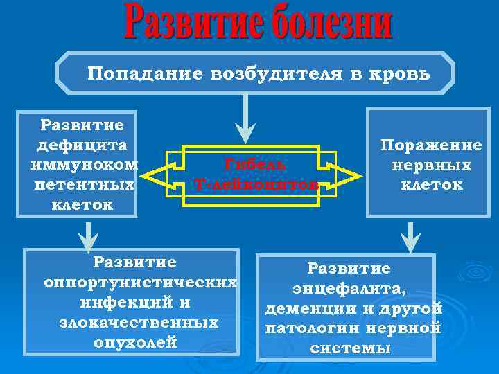 Попадание возбудителя в кровь Развитие дефицита иммуноком петентных клеток Гибель Т-лейкоцитов Развитие оппортунистических инфекций
