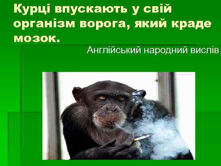 Курці впускають у свій організм ворога, який краде мозок. Англійський народний вислів 