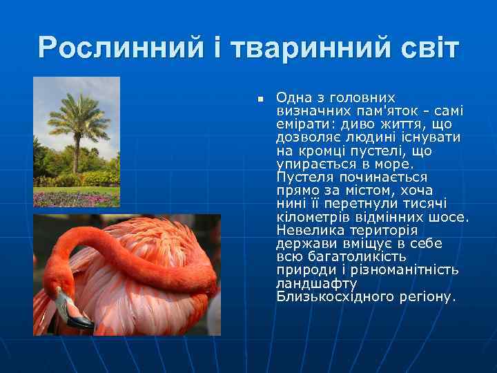 Рослинний і тваринний світ n Одна з головних визначних пам'яток - самі емірати: диво