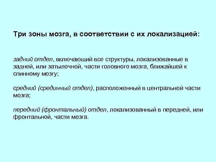 Три зоны мозга, в соответствии с их локализацией: задний отдел, включающий все структуры, локализованные