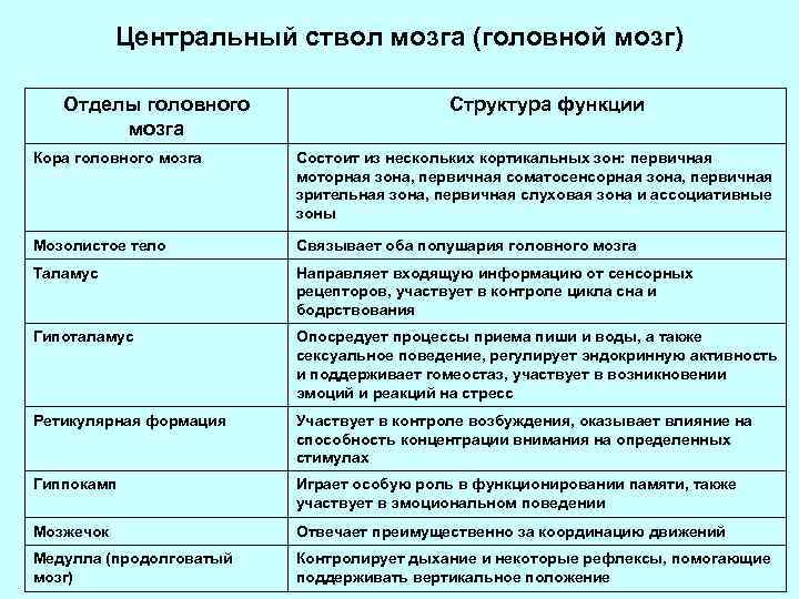 Центральный ствол мозга (головной мозг) Отделы головного мозга Структура функции Кора головного мозга Состоит