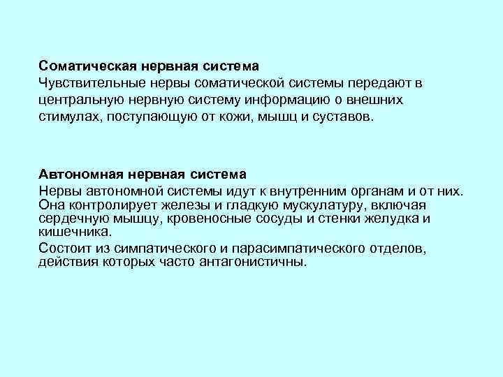 Соматическая нервная система Чувствительные нервы соматической системы передают в центральную нервную систему информацию о