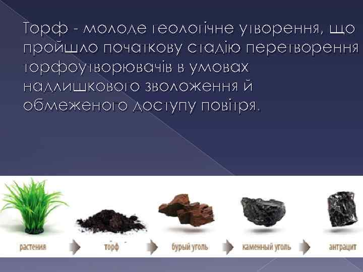 Торф - молоде геологічне утворення, що пройшло початкову стадію перетворення торфоутворювачів в умовах надлишкового
