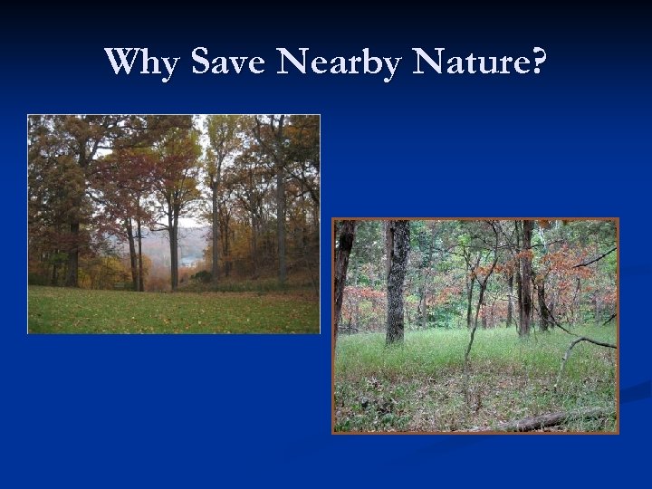 Why Save Nearby Nature? 