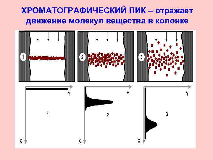 Хроматография пики. Базовая линия хроматографического пика. Параметры хроматографического пика. Хроматографический пик. Пики в хроматографии.