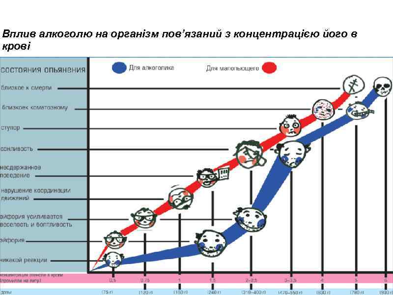 Вплив алкоголю на організм пов’язаний з концентрацією його в крові 