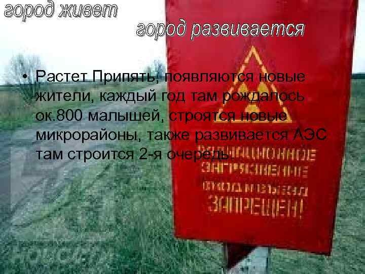  • Растет Припять, появляются новые жители, каждый год там рождалось ок. 800 малышей,