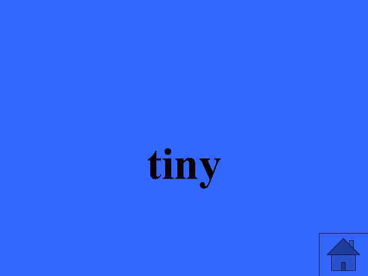 tiny 