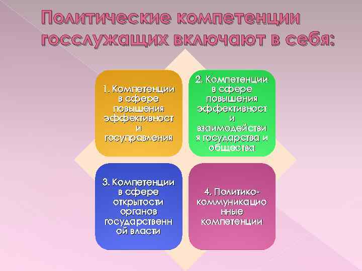 Компетенции политика. Компетенции государственных служащих. Модель компетенций государственного служащего. Профессиональные компетенции государственных служащих. Компетентность госслужащего.