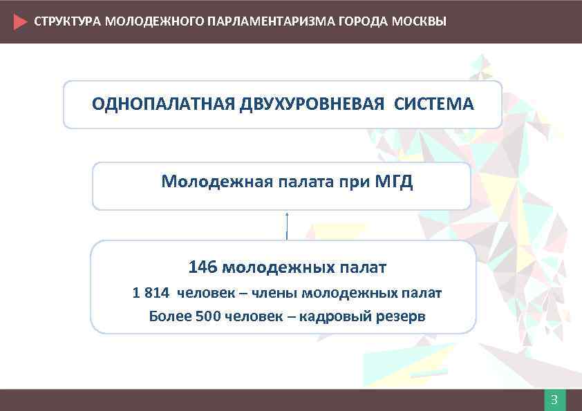 СТРУКТУРА МОЛОДЕЖНОГО ПАРЛАМЕНТАРИЗМА ГОРОДА МОСКВЫ ОДНОПАЛАТНАЯ ДВУХУРОВНЕВАЯ СИСТЕМА Молодежная палата при МГД 146 молодежных