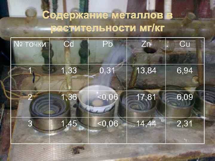 Содержание металлов в растительности мг/кг № точки Cd Pb Zn Cu 1 1, 33