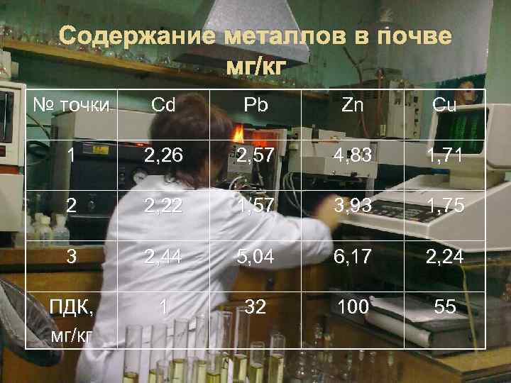 Содержание металлов в почве мг/кг № точки Cd Pb Zn Cu 1 2, 26